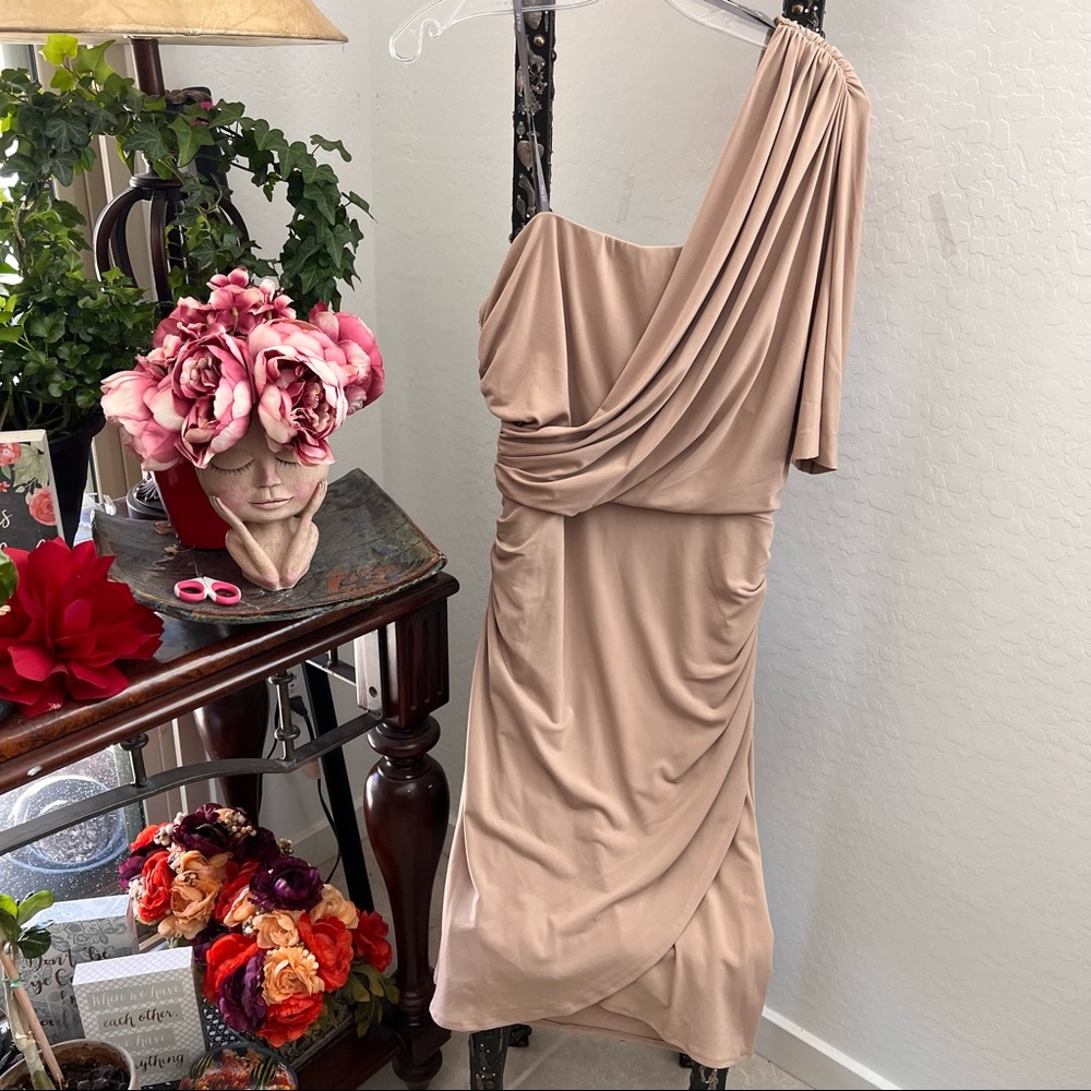 Muse by Boston Proper One Shoulder Ruched Dress